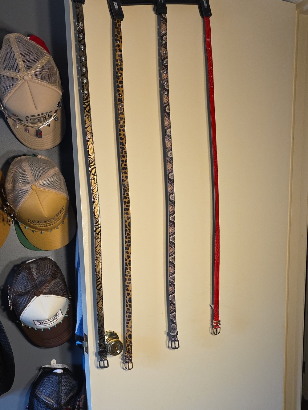 Circus Belts Set of Four Women's Skinny Belts - Leopard, Snake, Metallic & Red